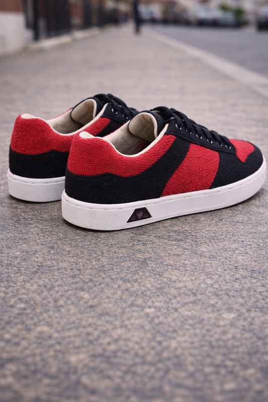Black and red sneakers on a street