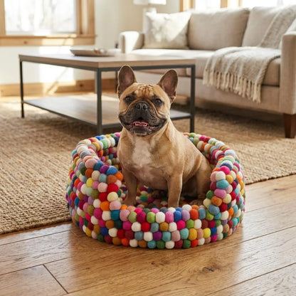 Dog sitting on a Boho multicolour felt dog bed made from wool felt for modern pet home decor in a living room.